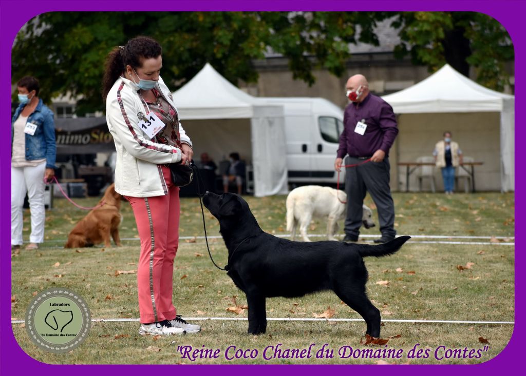 Reine coco chanel Du Domaine Des Contes