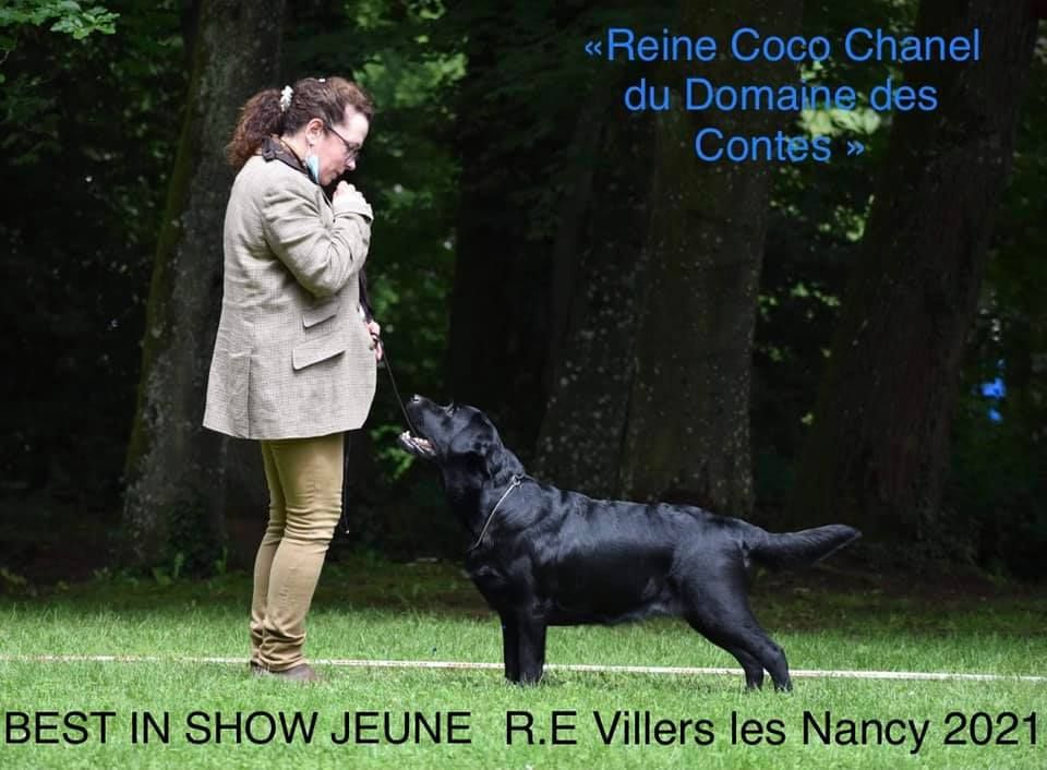 Reine coco chanel Du Domaine Des Contes