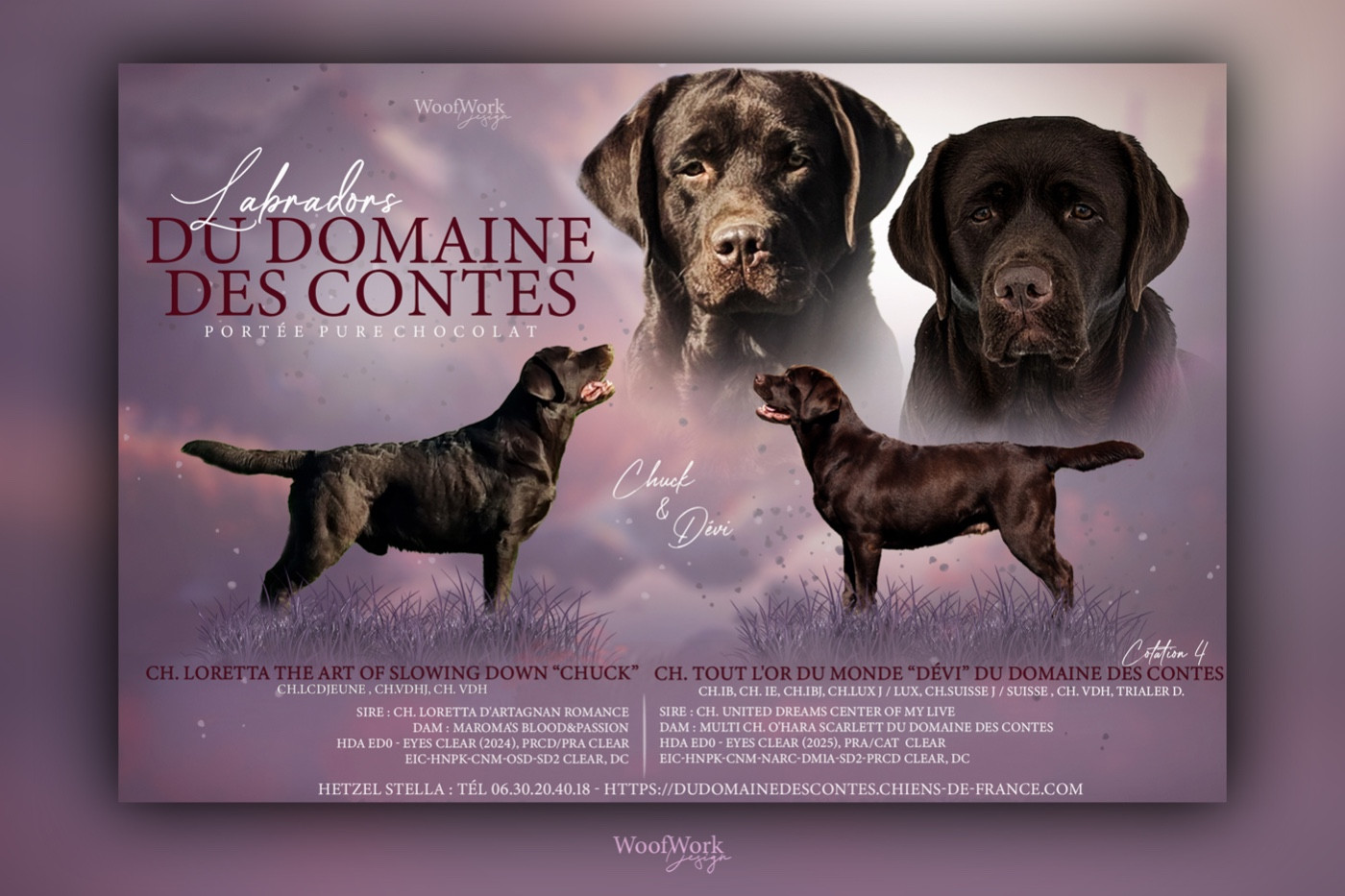 PROCHAINE PORTEE CHOCOLAT PREVUE FIN FEVRIER